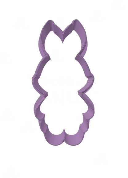 Conejita