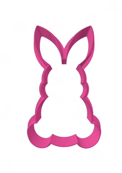 Conejo