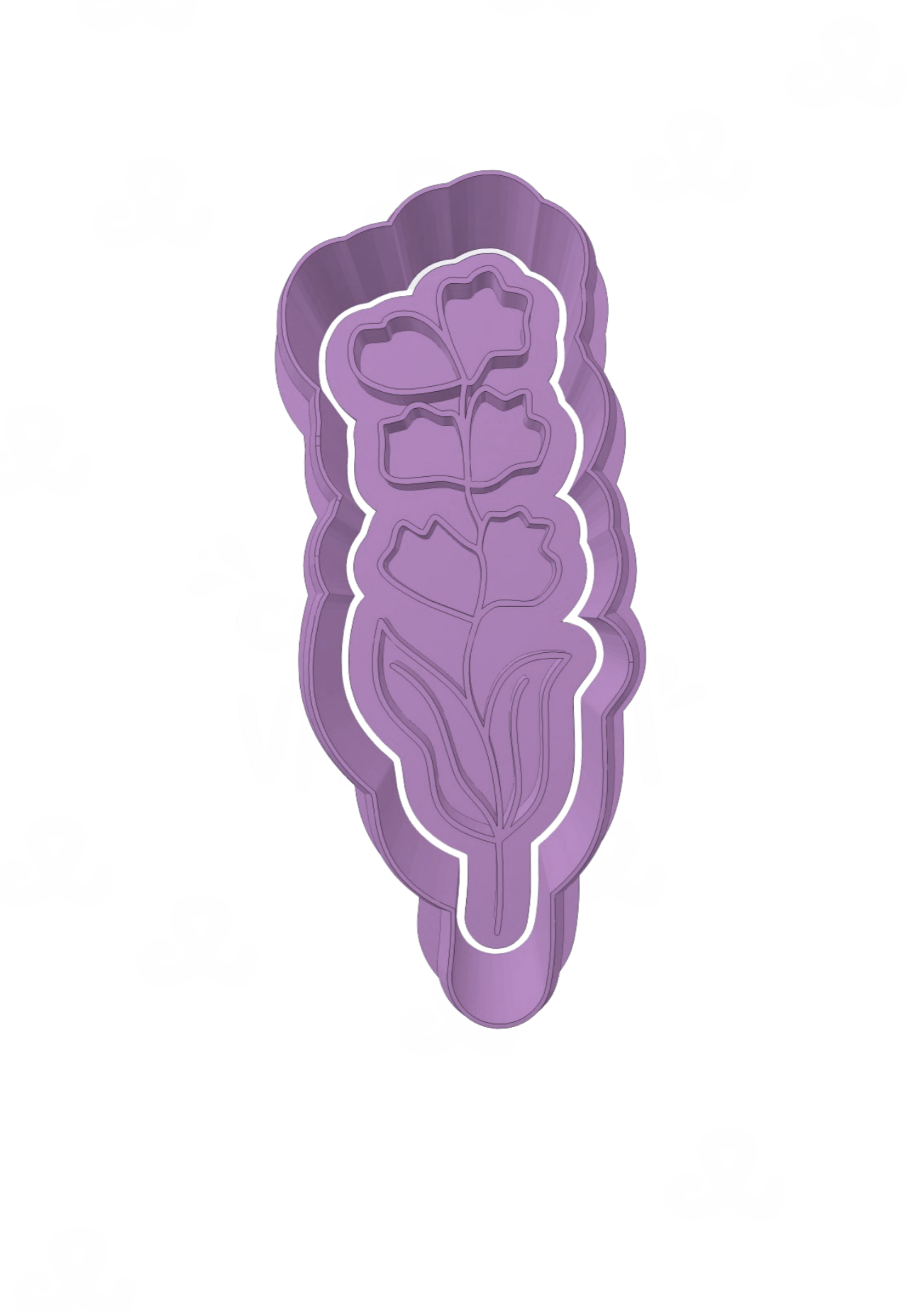 Lavanda