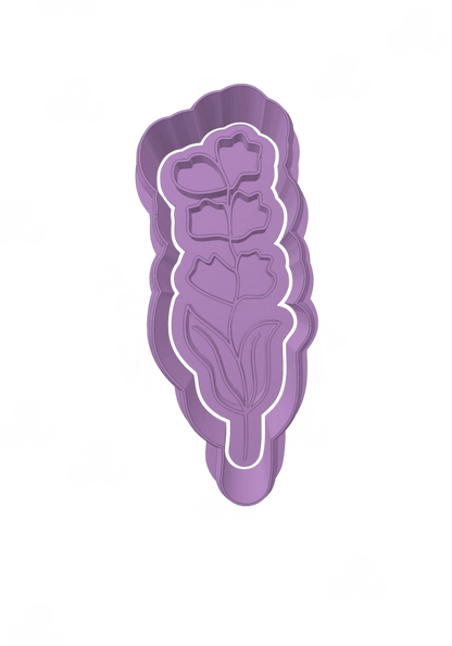 Lavanda