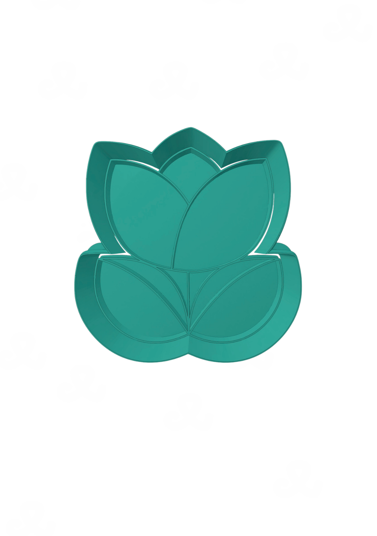 Tulipan A