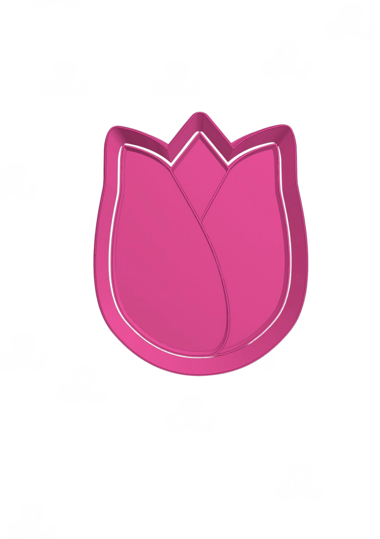 Tulipan