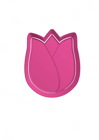 Tulipan