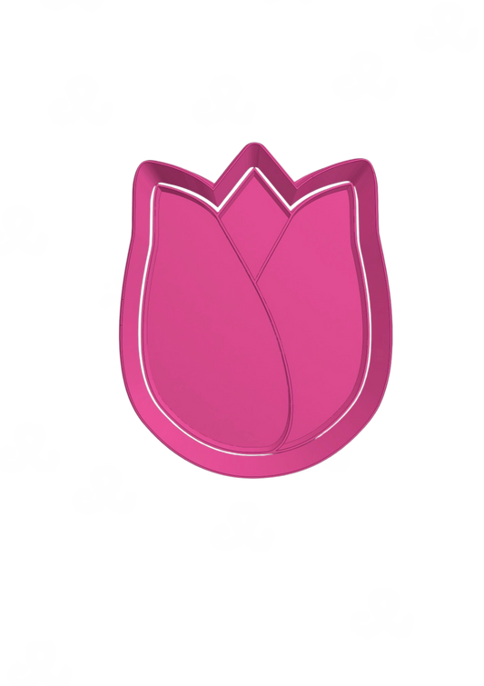 Tulipan
